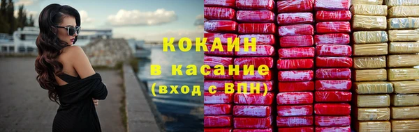 гидра Аркадак