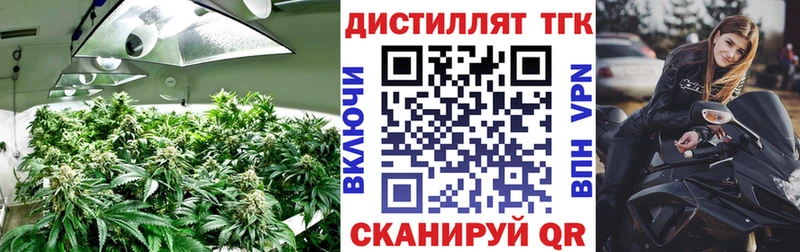 ТГК вейп с тгк  Купить где  Мирный 